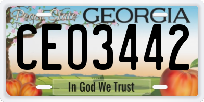 GA license plate CEO3442