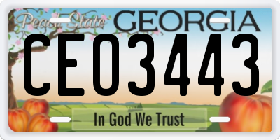 GA license plate CEO3443