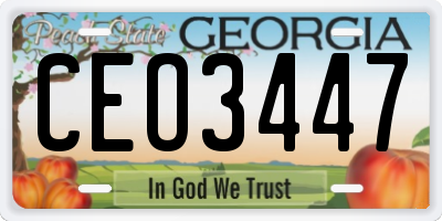 GA license plate CEO3447