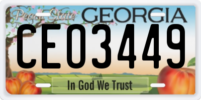 GA license plate CEO3449