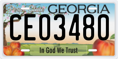 GA license plate CEO3480