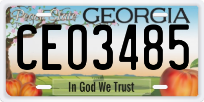 GA license plate CEO3485