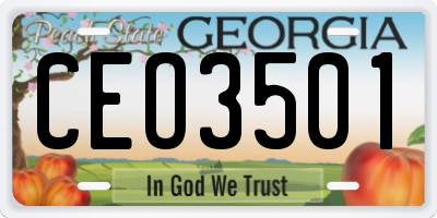 GA license plate CEO3501