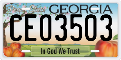 GA license plate CEO3503