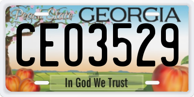 GA license plate CEO3529