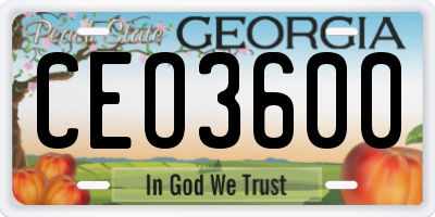 GA license plate CEO3600