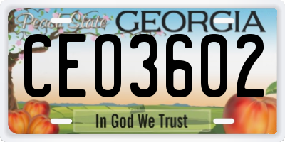GA license plate CEO3602
