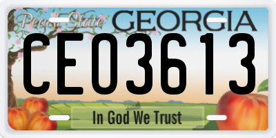 GA license plate CEO3613