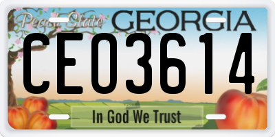 GA license plate CEO3614