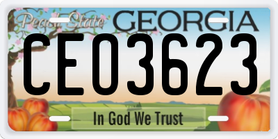 GA license plate CEO3623
