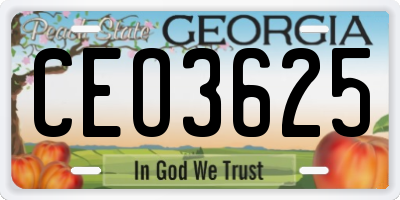 GA license plate CEO3625