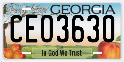 GA license plate CEO3630