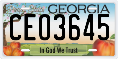 GA license plate CEO3645