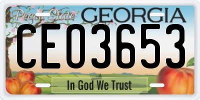 GA license plate CEO3653