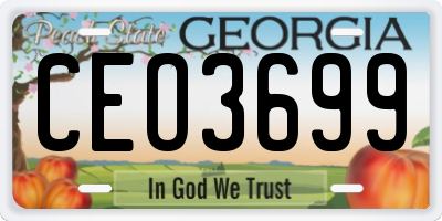 GA license plate CEO3699