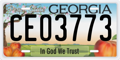 GA license plate CEO3773