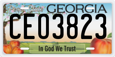 GA license plate CEO3823