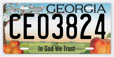 GA license plate CEO3824
