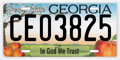 GA license plate CEO3825