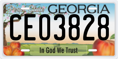 GA license plate CEO3828