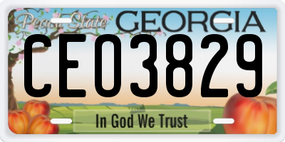 GA license plate CEO3829
