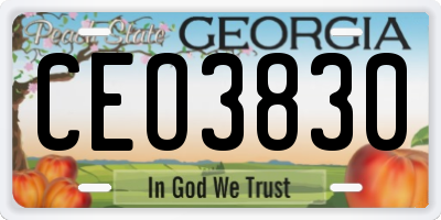 GA license plate CEO3830
