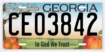 GA license plate CEO3842
