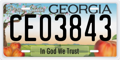 GA license plate CEO3843