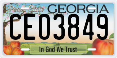 GA license plate CEO3849