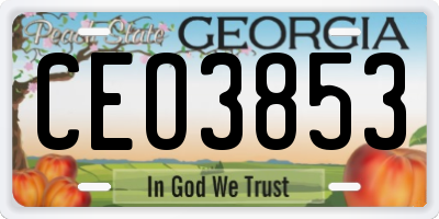 GA license plate CEO3853