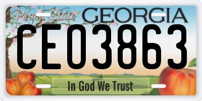GA license plate CEO3863
