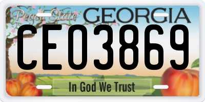 GA license plate CEO3869