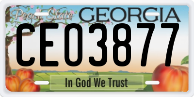 GA license plate CEO3877