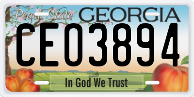 GA license plate CEO3894