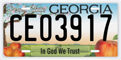 GA license plate CEO3917