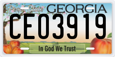 GA license plate CEO3919