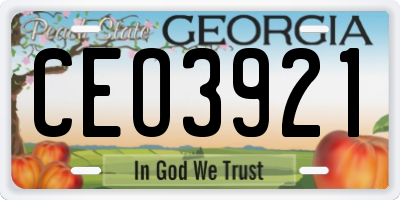 GA license plate CEO3921