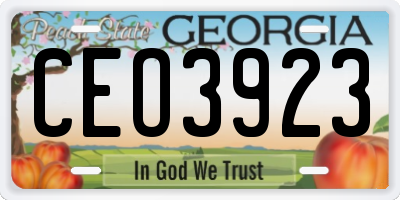 GA license plate CEO3923