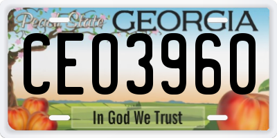 GA license plate CEO3960