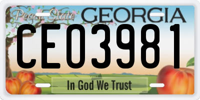 GA license plate CEO3981