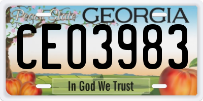 GA license plate CEO3983