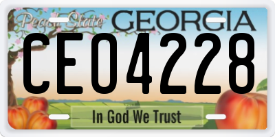 GA license plate CEO4228