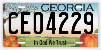 GA license plate CEO4229