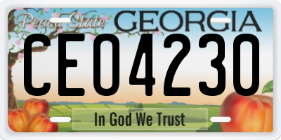 GA license plate CEO4230