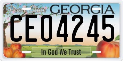 GA license plate CEO4245