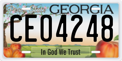 GA license plate CEO4248