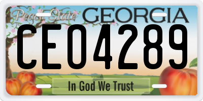 GA license plate CEO4289