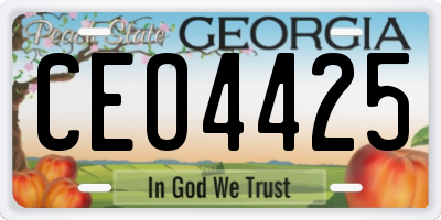 GA license plate CEO4425