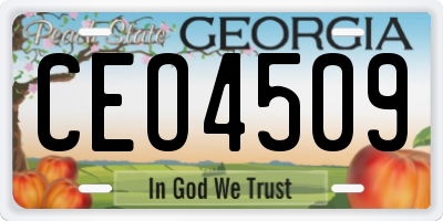 GA license plate CEO4509