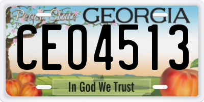 GA license plate CEO4513
